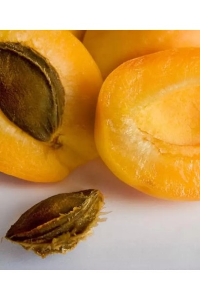 Абрикос Ананасовий